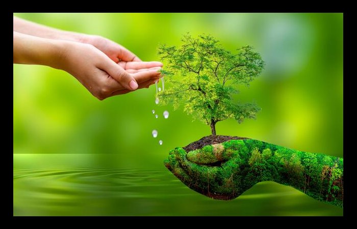 Beautiful Nature DP for WhatsApp