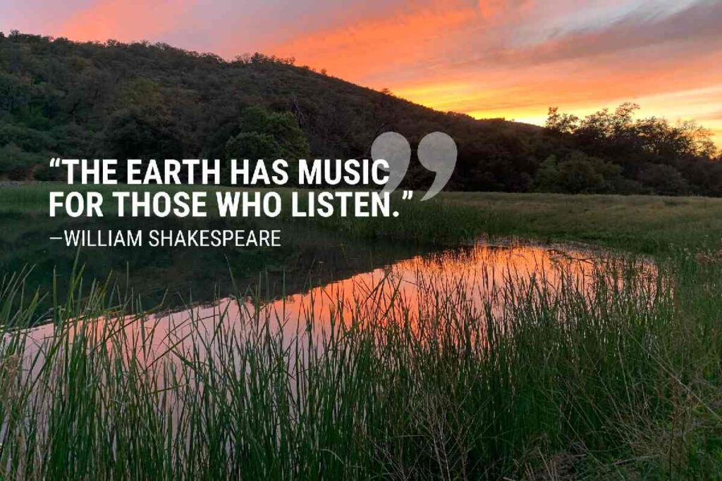 Nature Beauty Nature Captions for Instagram: A Complete Guide for Stunning Posts