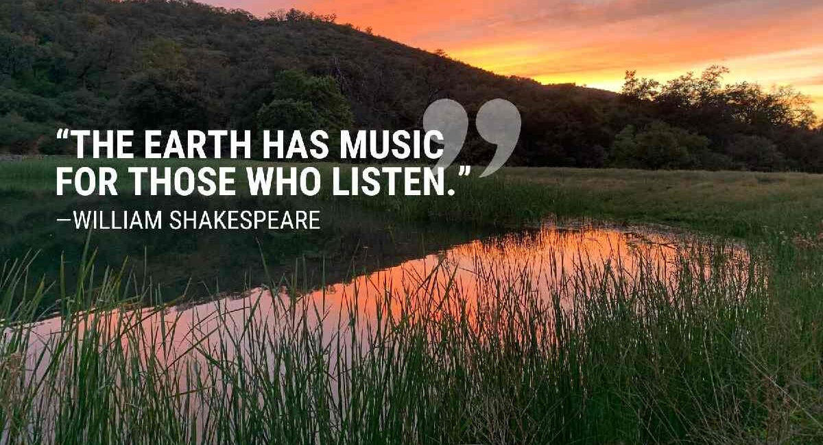 Nature Beauty Nature Captions for Instagram: A Complete Guide for Stunning Posts